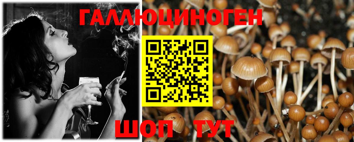 Псилоцибиновые грибы ЛСД Кондопога