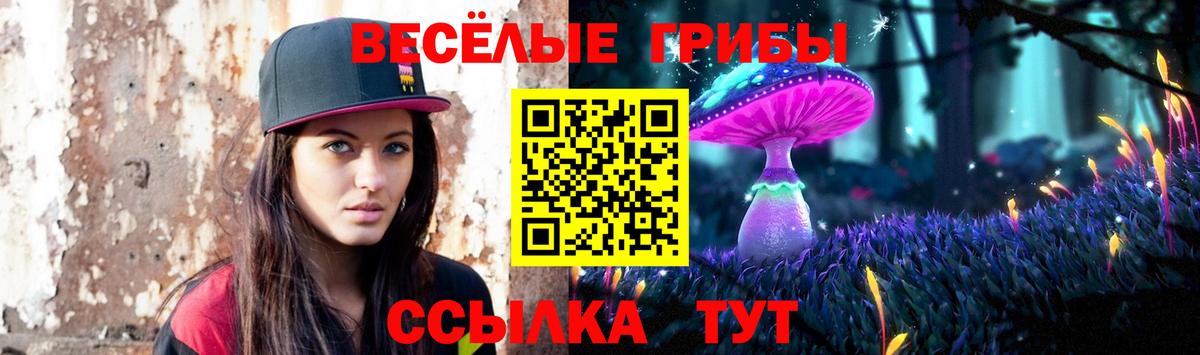 Кондопога  Галлюциногенные грибы мухоморы  Вход с VPN 